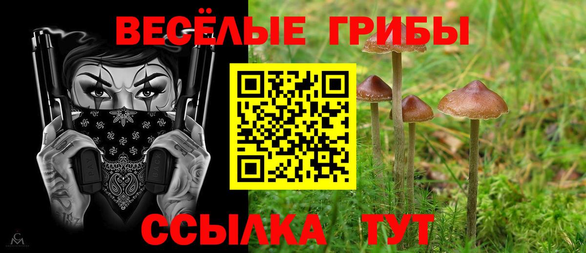 Псилоцибиновые грибы прущие грибы Тавда