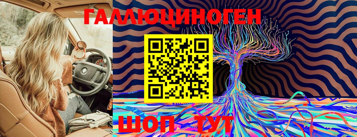 Тавда  Псилоцибиновые грибы Psilocybine cubensis  Вход с VPN 
